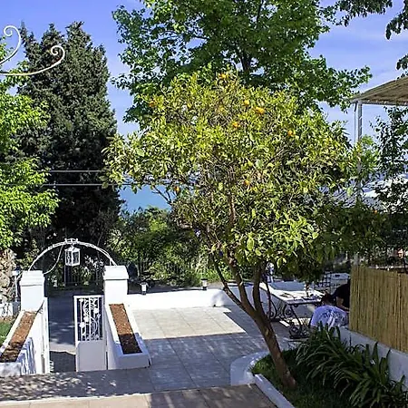 Hotell Ikigai Rifat Istanbul