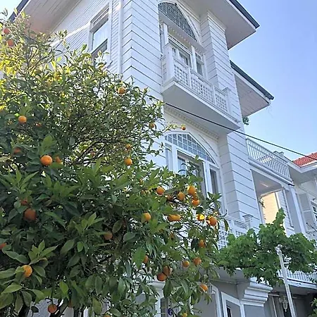 Hotell Ikigai Rifat 3*